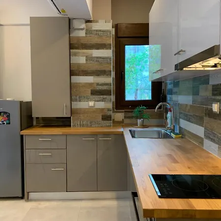 Antony Luxury In Apartment Thessaloniki