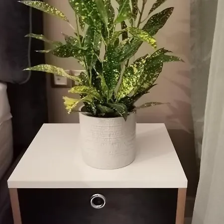 Apartman Antony Luxury In Szaloniki